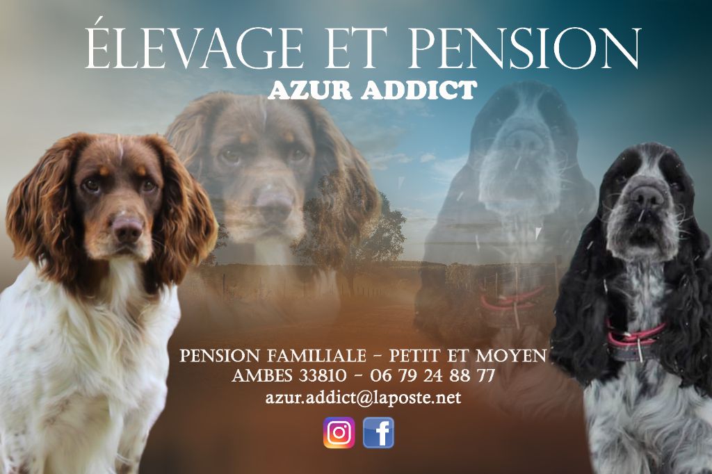 D'Azur Addict - INSTAGRAM FACEBOOK